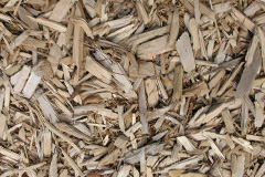 biomass boilers Wildernesse